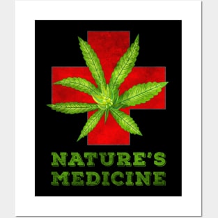 Nature's Medicine Posters and Art